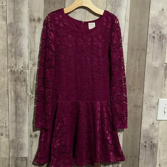 Ella Moss Fuschia Lace Long Sleeve Dress size 14 - Picture 1 of 5